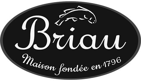 Logo Briau