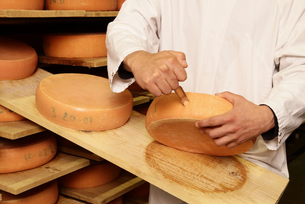 Fromager en train d'affiner un fromage Schmidhauser, client de l'agence indie